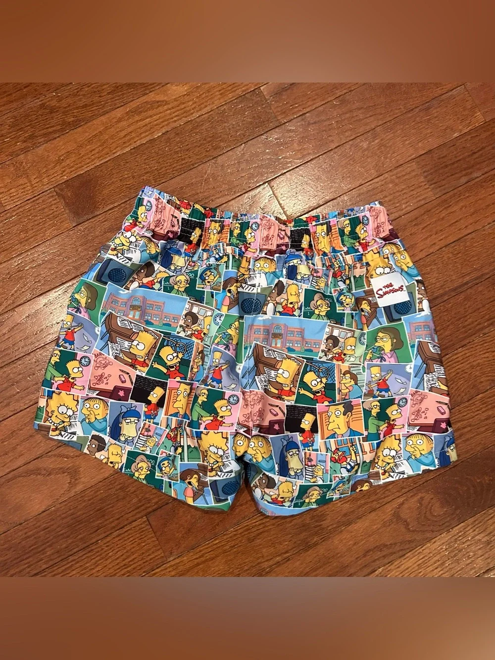 The Simpsons Freeze Max Bart Classroom Shorts